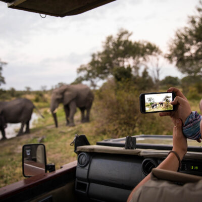 2022-Hoyo-Safari-sighting-herd-of-elephants
